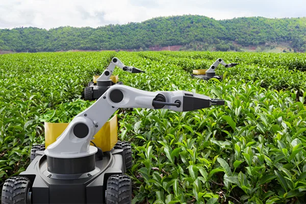 Role of AI in Agriculture